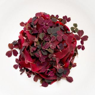Le Christine - 8