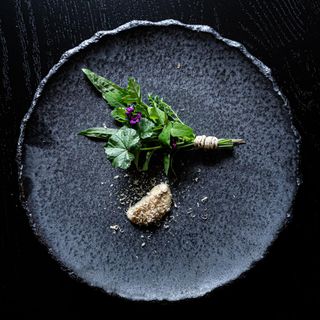 Salt - 14
