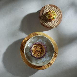 Ember - Mechelen - 8