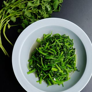 Qing Tao - 10