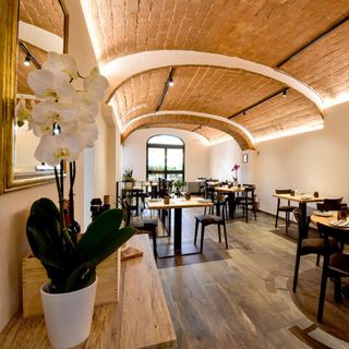 Campo Cedro - 3