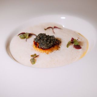 Noble Rice - 1