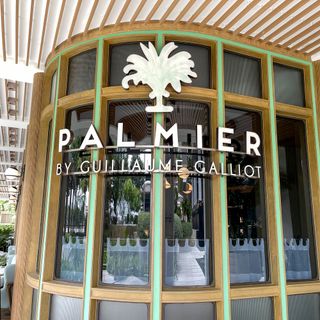 Palmier - 1