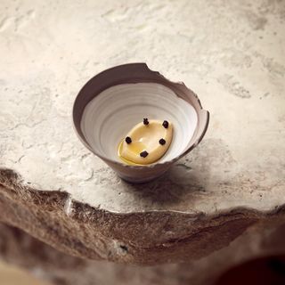 Tisane - 7