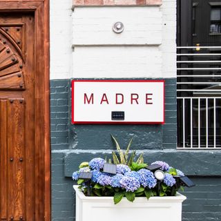 Madre - 4