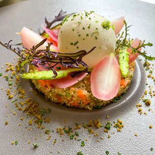 La Salamandre - 0