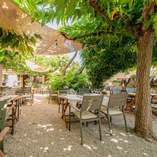 La Terrasse des Cigales - 5