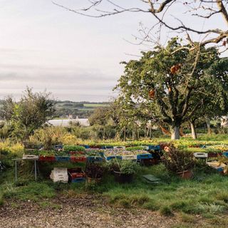 Njørden - 4