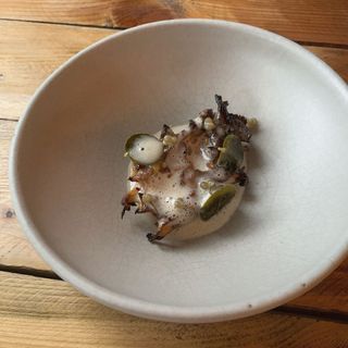Casa Fofō - London - 9