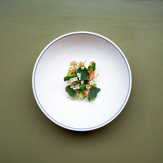 Restaurant Anton - 8