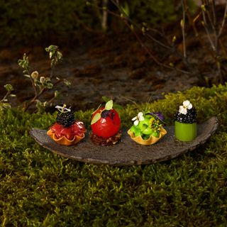 Moss - 4