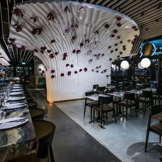 Roe - Londres - 7