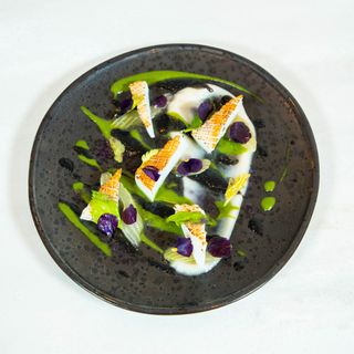 Alleudium - 3