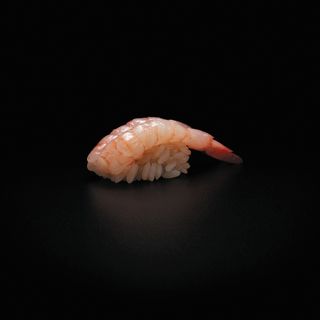 Suto - 11