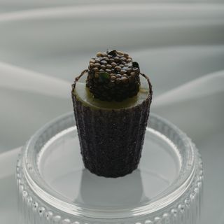 Botanic - 4