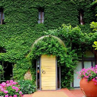 Osteria Vecchia Noce - 6