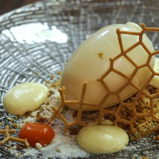 VIVO Gourmet - 7