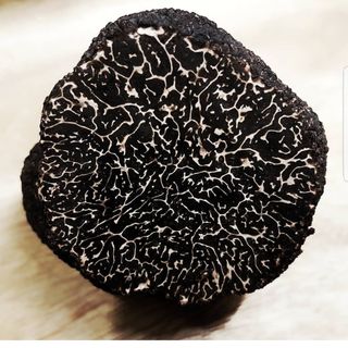 Hiély-Lucullus - 1