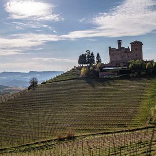 Alessandro Mecca al Castello di Grinzane Cavour - 4