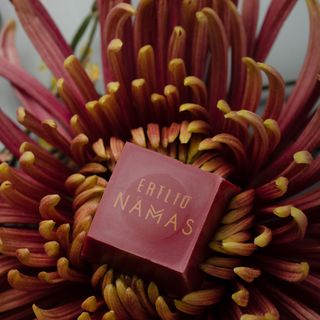 Ertlio Namas - 2
