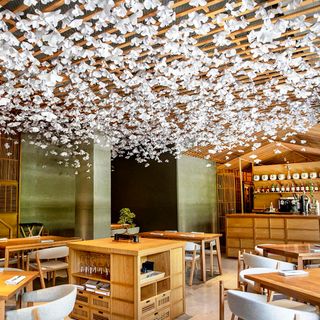 Nozomi Sushi Bar - 0