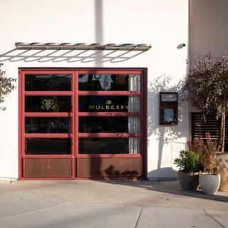 The Mulberry - 4
