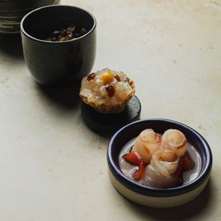 Kojin 2.0 - 6