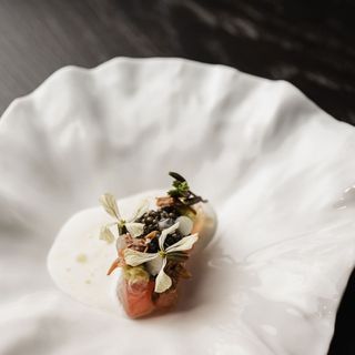 FIEF - 4