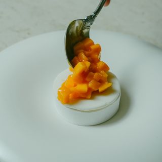 OPNNG - 5