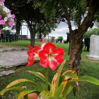 Locanda del Barone - 2