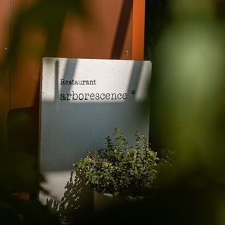 Arborescence - 4
