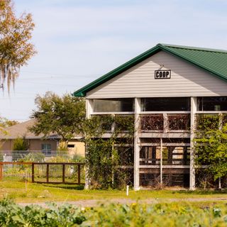 Fat Beet Farm Kitchen and Bakery - 12