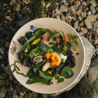 Olivea Farm to Table - 0