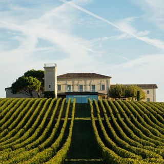 Les Belles Perdrix de Troplong Mondot - 1