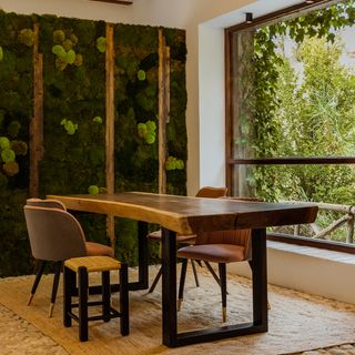 Casa Borrego - 9