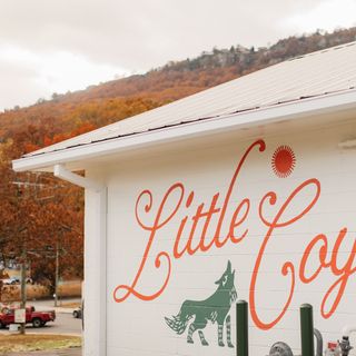 Little Coyote - 1