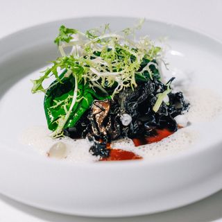 Esperança Verde - 17