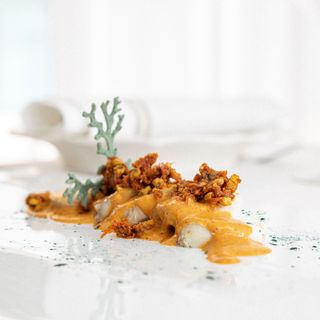 Frisone - 1