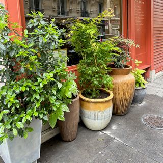 Le Beurre Noisette - Paris - 5