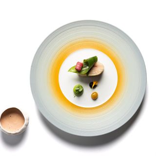 L'Oiseau Blanc - 12