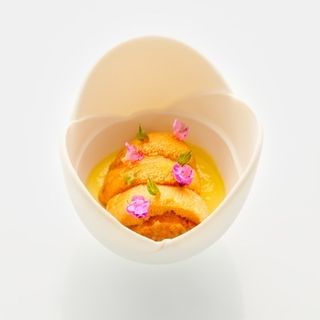 Araya - 10