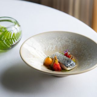 Fernery - 13