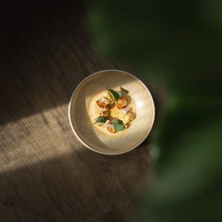 Restaurant Nectar - 14