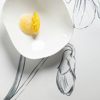 Blossom - 1