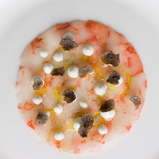 De Gustibus - Maurizio - 5