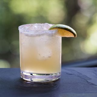 Sweet Basil - 6