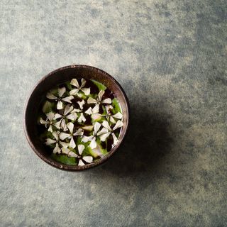 RAU nature-based cuisine - 17