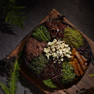 Plant-Based Kitchen - 3