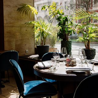 Madame Ngo - Une Brasserie Hanoi - 1