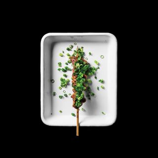 Yardbird - 5